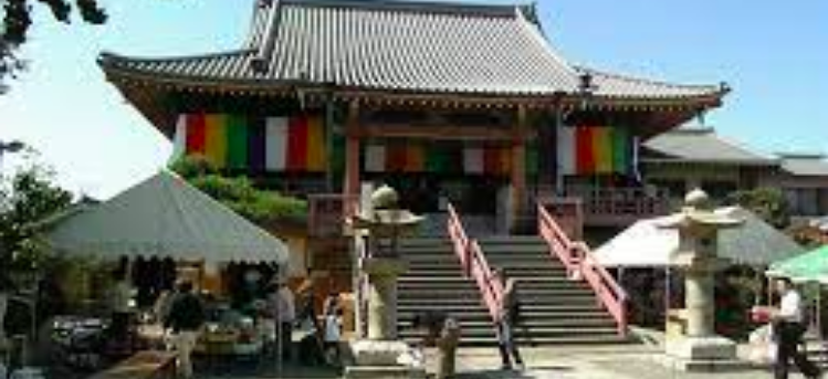 【取り組み・マッチング紹介】 ＭＳＤ株式会社 × 恵光寺